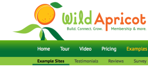 Custom Wild Apricot Websites