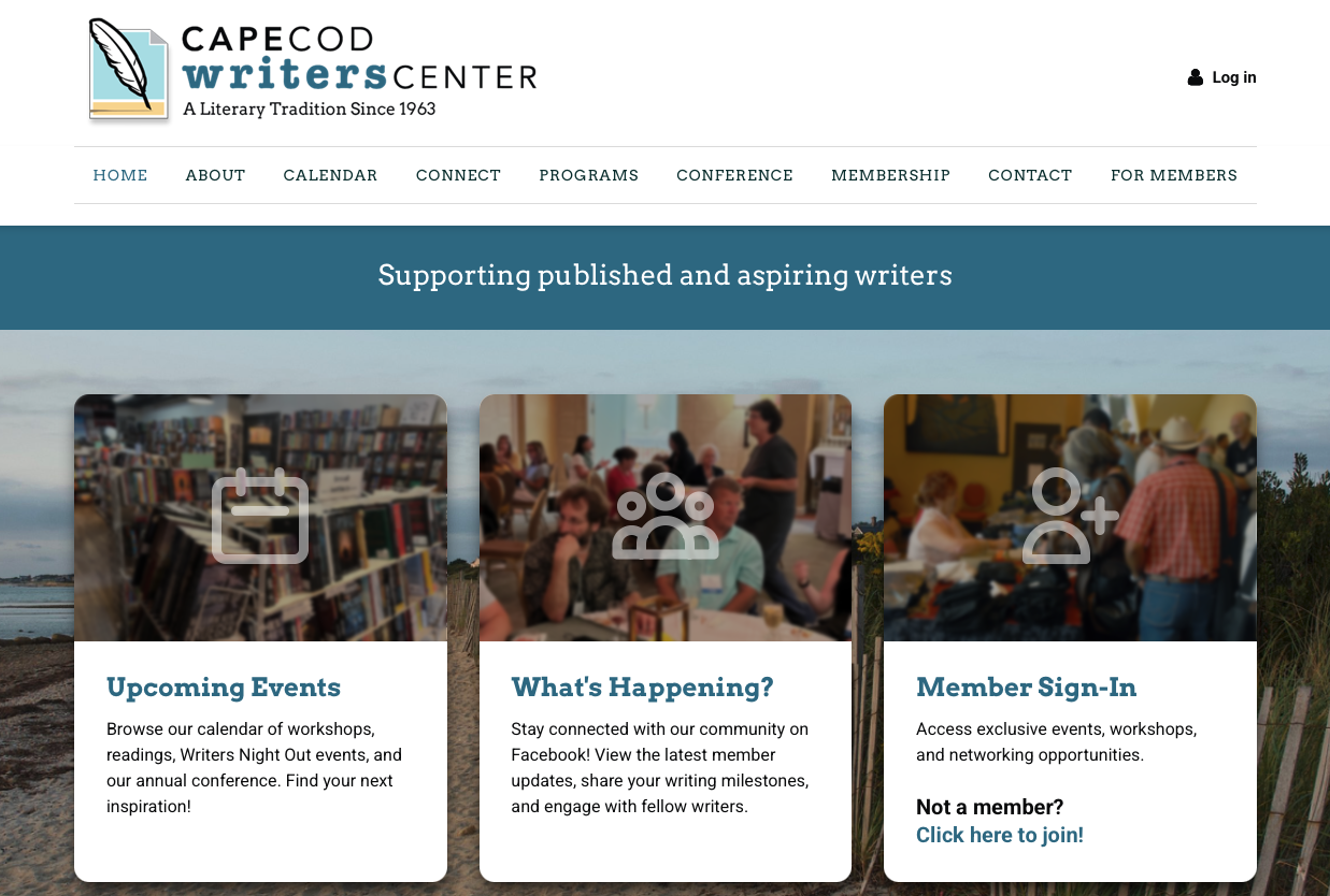 Custom Wild Apricot Theme