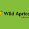 Your Wild Apricot Website Deserves More Than a Default Theme