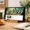 Nicasio Wild Apricot Website Examples That Work